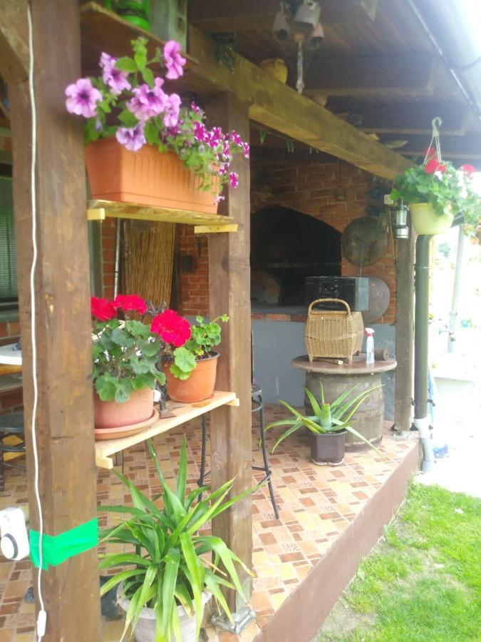 Ribarska Vila Donje Lohovo Exterior foto